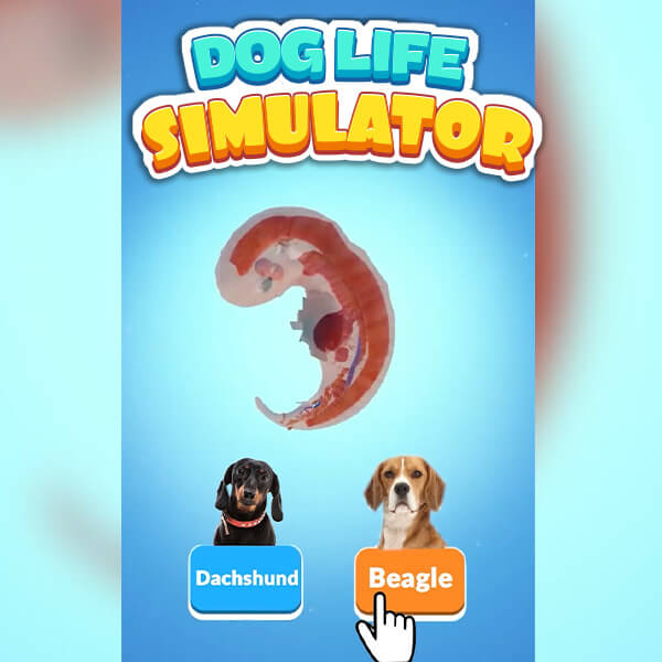 Dog Life Simulator
